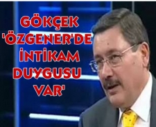 Gökçek, "Mahmut Özgener'de intikam duygusu var"