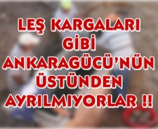 Leş kargaları gibi Ankaragücü'nün üstünden ayrılmıyorlar...