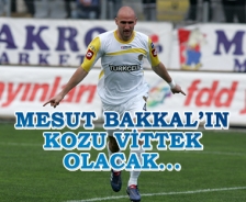 Mesut Bakkal'ın kozu Vittek