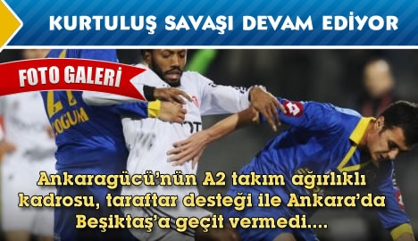 Kurtuluş savaşı devam ediyor....