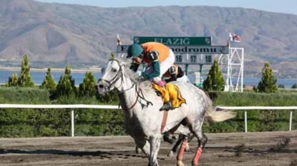 Elazığ'da yedili ganyanı bilen çıkmadı..