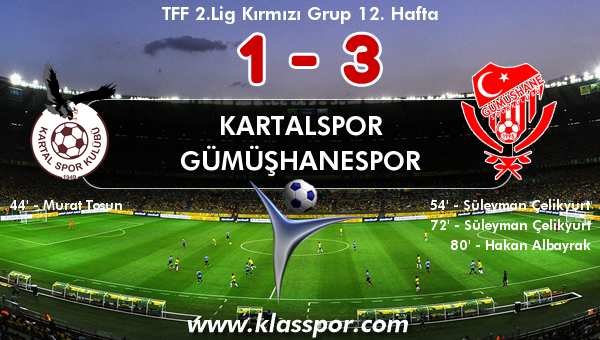 Kartalspor 1 - Gümüşhanespor 3