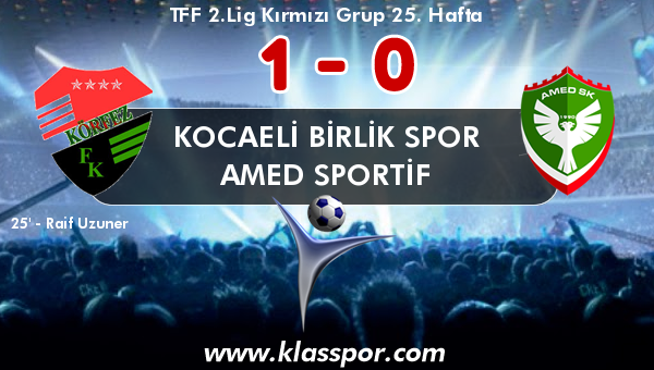 Kocaeli Birlik Spor 1 - Amed Sportif 0
