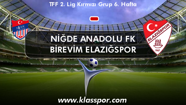 Niğde Anadolu FK  - Birevim Elazığspor 