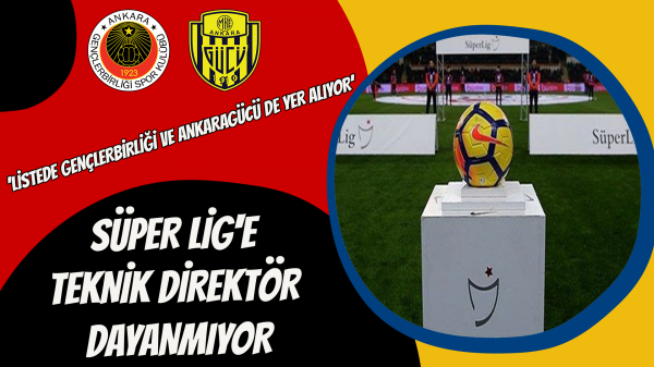 Süper Lig'e teknik direktör dayanmıyor