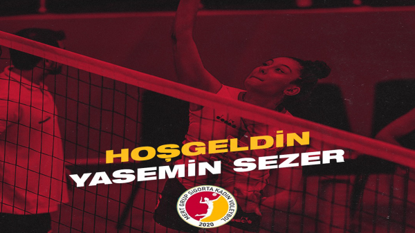 Yasemin Sezer, Mert Grup Sigorta'da