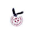 Kartalspor Logosu