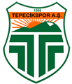 BÜYÜKÇEKMECE TEPECİK SPOR A.Ş. Takım Logosu