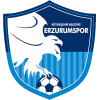 ERZURUMSPOR FK Takım Logosu