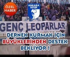 Genç Leoparlar büyüklerinden destek bekliyor...