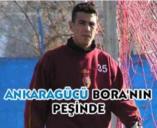 Ankaragücü Bora'nın peşinde....