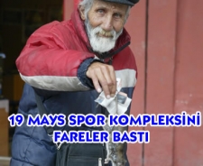 19 Mayıs Spor Kompleksi'ni fareler bastı