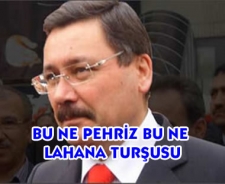 Bu ne pehriz bu ne lahana turşusu