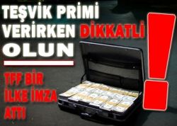 Teşvik küme düşürecek