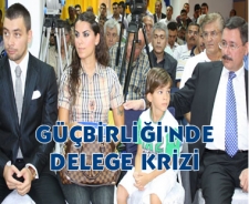 Güçbirliği'nde delege krizi