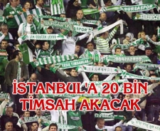İstanbul'a 20 bin Timsah akacak
