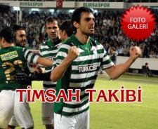 Timsah takibi...