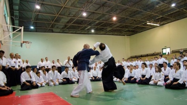Ankara'da Uluslararası Aikido Festivali