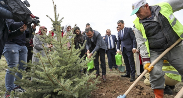 Bakan Kasapoğlu fidan dikti