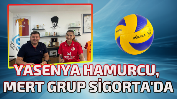 Yasenya Hamurcu, Mert Grup Sigorta'da